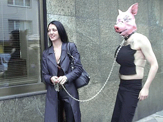 FREIGANG FÜR MEIN HAUSSSCHWEIN
